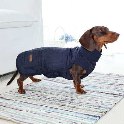 Chaleco de Algodón para Perro - Abrigo Cálido Otoño Invierno