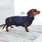 Chaleco de Algodón para Perro - Abrigo Cálido Otoño Invierno