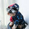 Suéter Abrigado para Perros Pequeños - Otoño Invierno