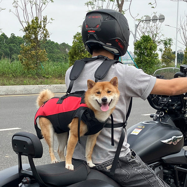Mochila Transportadora Aérea para Mascotas - Paseos y Aventuras