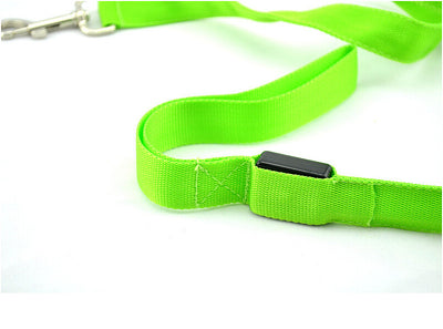 Correa LED Luminosa para Perros - Paseos Seguros de Noche - Image 19