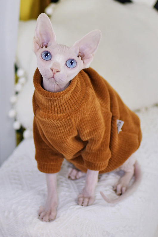 Ropa para Gatos Esfinge Neil Rong - Abrigos Térmicos Especializados - Image 8