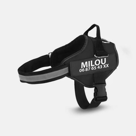 Correa Personalisada Multicolor para Mascotas de Moda - Image 14