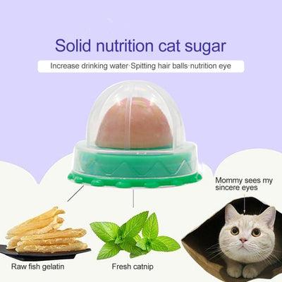 Snack Adherible para Gatos - Golosina Nutritiva de Lamido Fijo - Image 4
