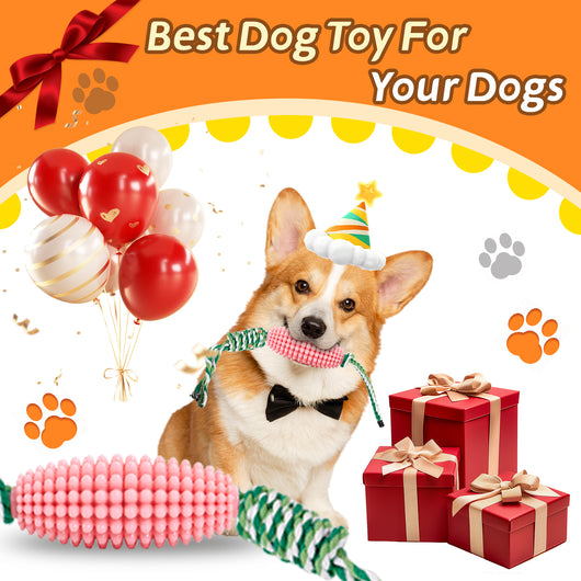 Juguete Masticable Dental para Cachorros - Limpieza de Dientes e Interactivo - Image 20