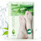 Aloe 1 Pieza