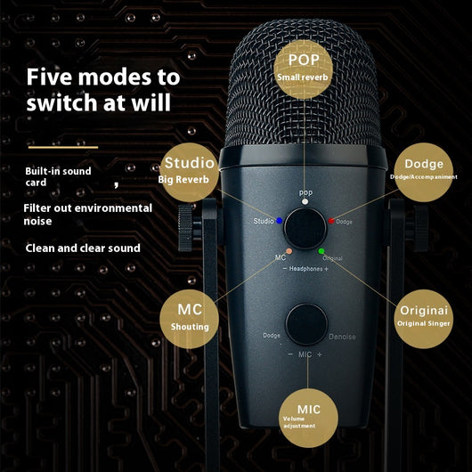 Micrófono Bluetooth Inalámbrico para Karaoke y Grabación