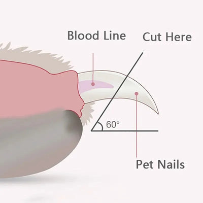 Cortauñas para Mascotas con Luz LED - Seguro y Preciso para Perros y Gatos - Image 4