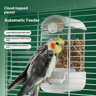 Dispensador Automático de Alimento para Loros - Image 3