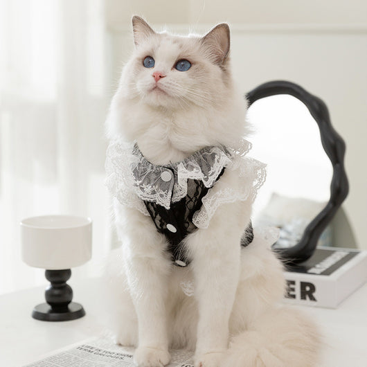 Chaleco de Encaje con Tracción para Gatos y Cachorros - Ropa Ligera para Mascotas - Image 3