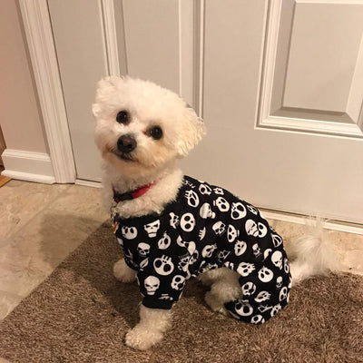 Ropa cómoda para mascotas - Image 7
