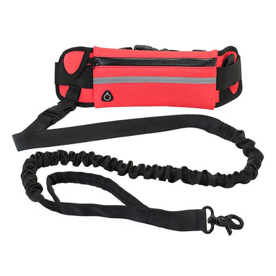 Bolso Correa para Pasear Perros - Manos Libres - Image 4