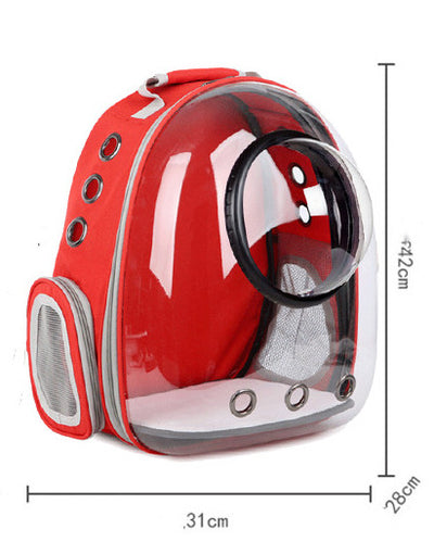 Dark grey transparent pet carrier backpack with a white cat plush toy inside, sitting on a path outdoors. - Image 15