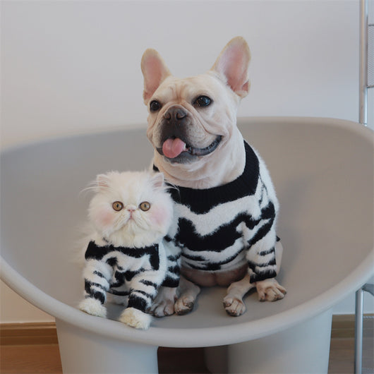Suéter Abrigador para Perros - Colección Otoño Invierno - Image 9