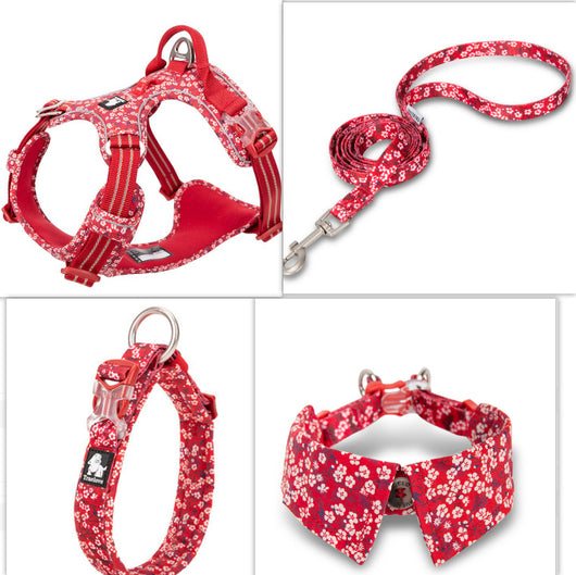 Collar Fashion con Moño para Perros - Image 15