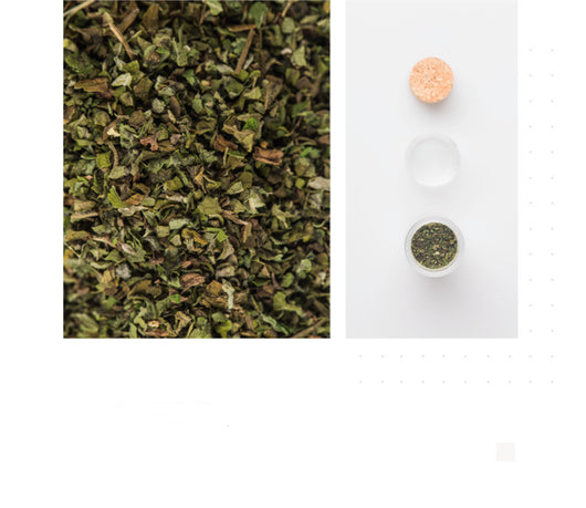Pasto para Gatos con Snacks - Limpieza Bucal y Control de Bolas de Pelo - Image 11