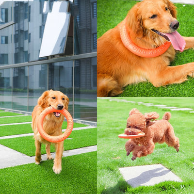 Juguete Resistente para Perros - Artefacto Antimorodiscos - Image 11