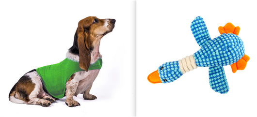 Chaleco Calmante para Mascotas - Ropa Terapéutica Antiansidad para Gatos y Perros - Image 3