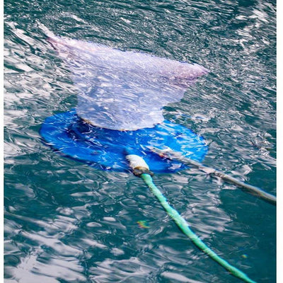 Limpiador de Piscina y Estanque con Aspiradora Flotante - Image 11
