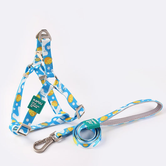 Arnés de Seguridad para Perros con Cuerda de Transporte - Image 6