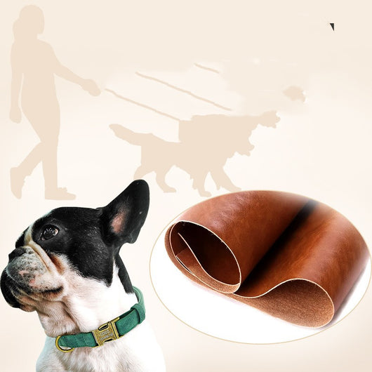 Collar de Poliuretano para Perros Pequeños y Medianos