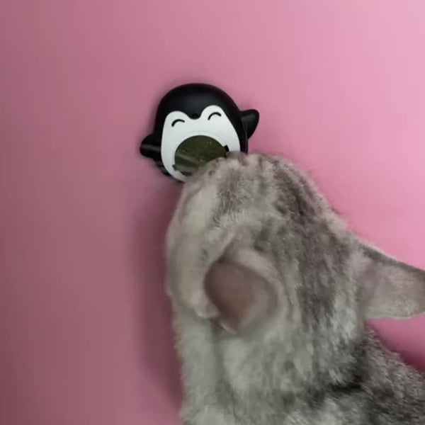 Juguete Interactivo de Hierba Gatera y Madera para Gatos