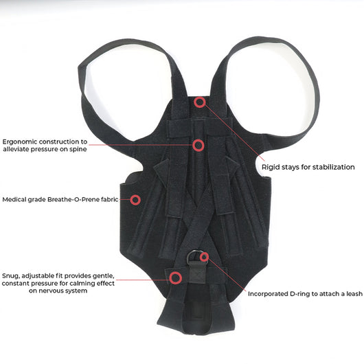 Arnés de Soporte Dorsal para Perros - Alivio de Dolor de Espalda, IVDD y Recuperación Quirúrgica - Image 3