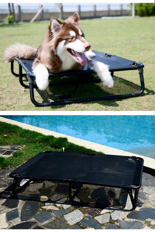 Cama Elevada para Perros con Marco de Hierro y Malla Transpirable - Image 10