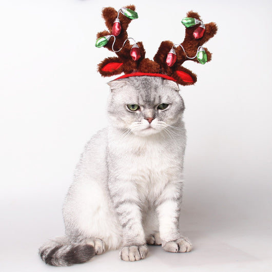 Sombreros y Adornos Navideños para Perros y Gatos - Image 5