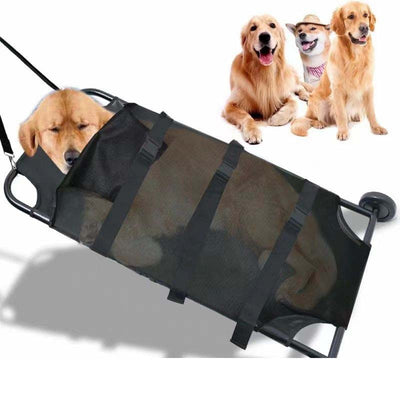 Camilla Plegable para Perros Grandes - Aluminio Resistente - Image 10