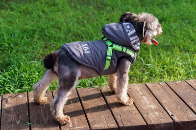 Abrigo Impermeable para Perros con Forro Polar y Capucha - Image 18