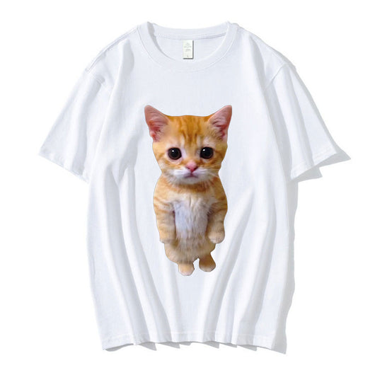 Gatito Triste Llorando - Peluche Munchkin Adorable - Image 7