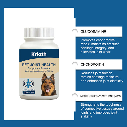 Tabletas Masticables para la Salud Articular de Mascotas - Image 3
