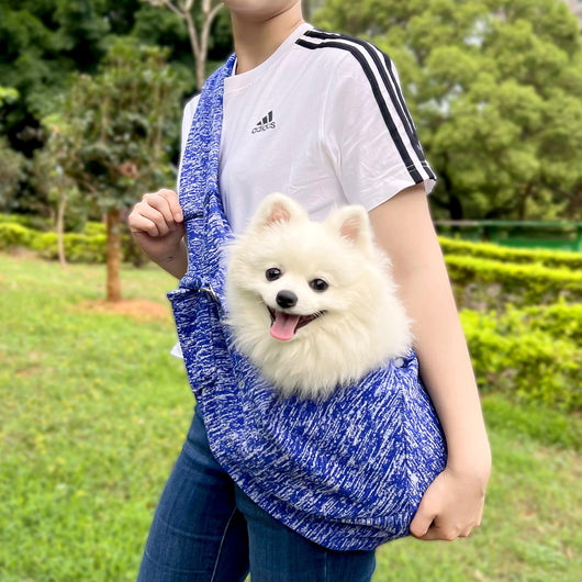 Person in white hoodie carrying a happy white dog in a navy blue pet sling bag outdoors. - Image 18