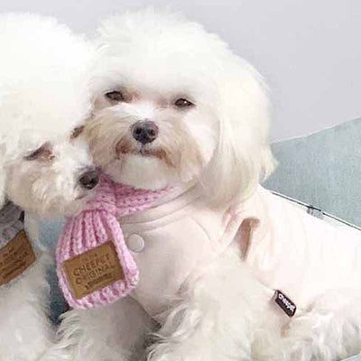 Pañuelo Bandana Térmico para Perros - Collar Cálido para Mascotas Pequeñas - Image 2