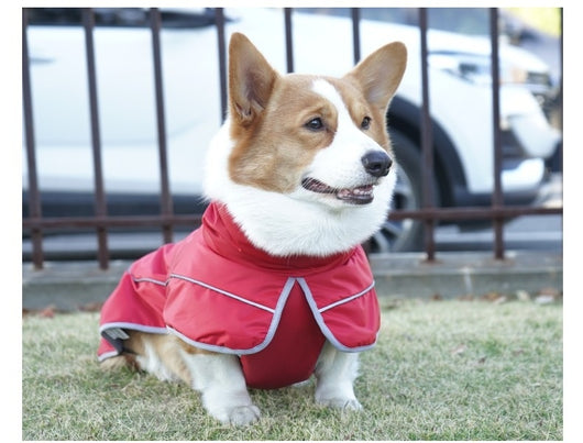 Abrigo Térmico Protector para Perros - Image 12