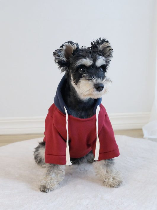 Sudadera con Capucha para Mascotas - Diseño Bicolor Moderno - Image 14