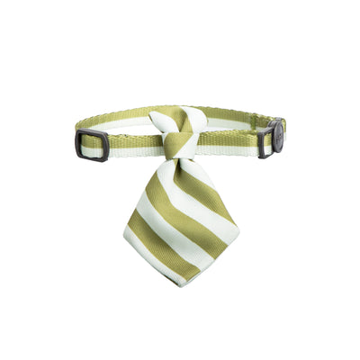 Collar con Moño para Gatos - Image 13