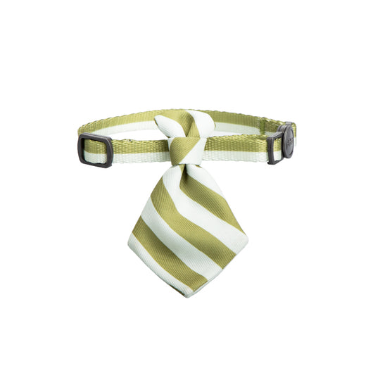 Collar con Moño para Gatos - Image 13