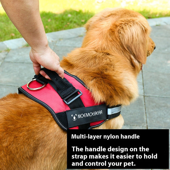 Arnés Pectoral para Perros de Tela Oxford