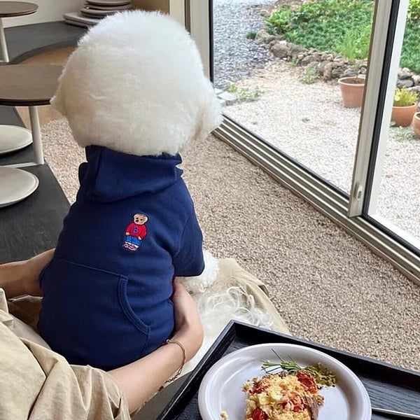 Suéter para Perro Osito Cartoon con Bolsa