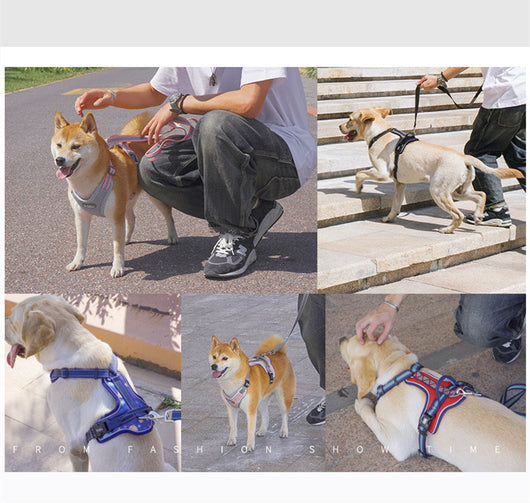 Arnés de Pecho Estilo Chaleco para Perros - Image 18