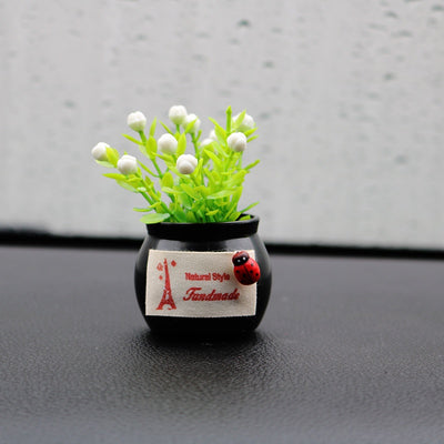 Difusor Aromático para Auto con Planta Ornamental de Fortuna - Image 6