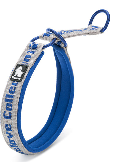Collar Ajustable para Perro Truelove con Tela de Buceo Reflectante