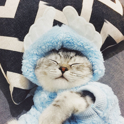 Ropa para Gatos y Gatitos - Diseños Divertidos y Adorables - Image 8