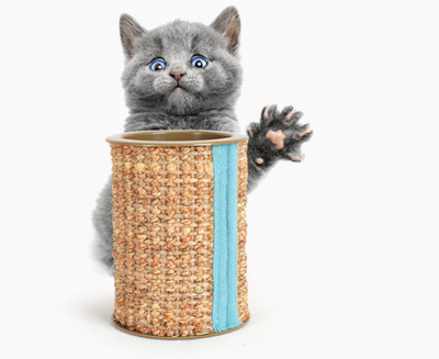 Rodillo de Sisal Resistente con Bolas Interactivas para Gatos - Image 8