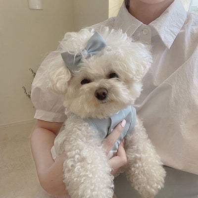 Falda de Encaje Elegante para Mascotas - Image 12