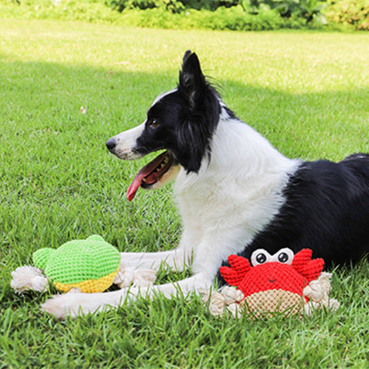 Juguete de Cuerda Interactivo para Perros - Tirador Resistente con Peluche