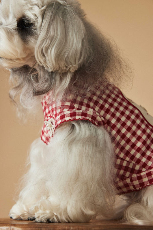 Chaleco Escocés sin Mangas para Perro Maltés y Schnauzer Teddy en Rojo - Image 28