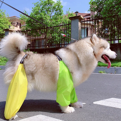 Impermeable Ajustable para Perros de Cuatro Patas